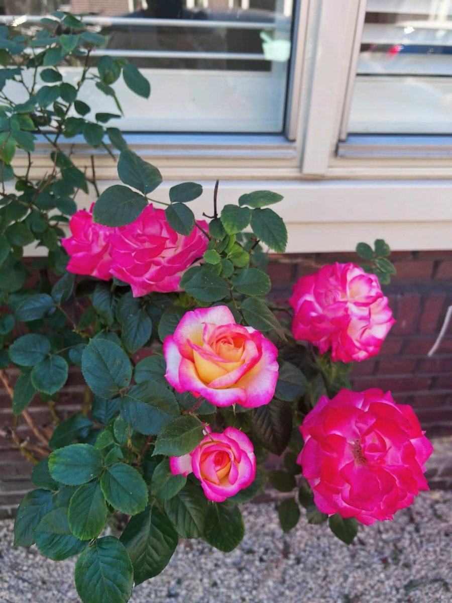 Soaking up the sunshine 🌞🌴🌊