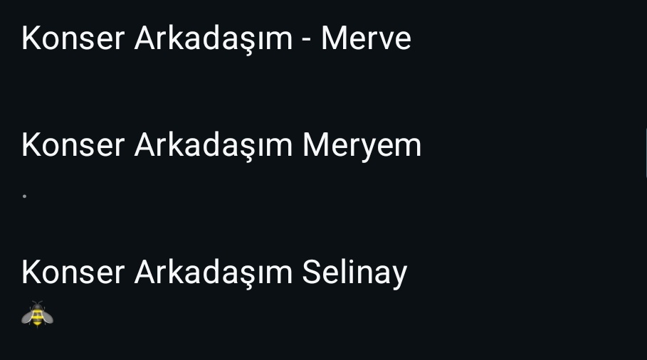 Tek başıma konsere gidince rehberim hahsh 😂