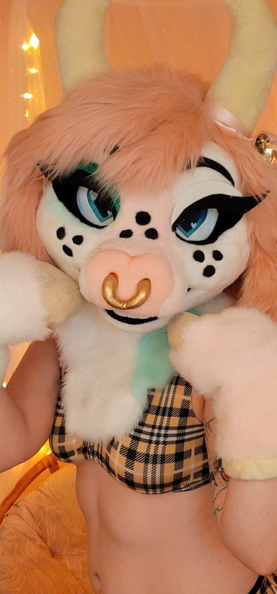 seraphcatAD's tweet photo. Moo come see @FurAllure at aquatifur this yeeeear! Will be hosting burlesque Saturday and if youre lucky Friday maybe you can find a way to see our exotic dancers......💖 https://t.co/7rYHXF6irc