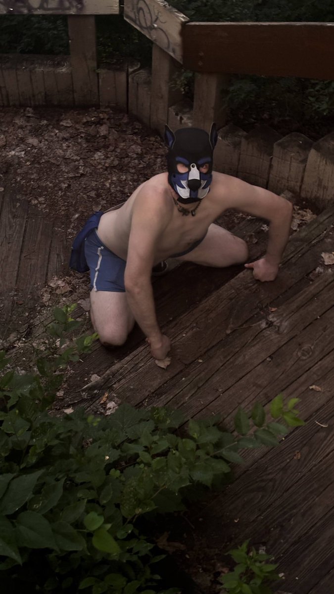 PupAuto's tweet image. Hey it's been very long while but Auto is back. Here is the pup playing at park.