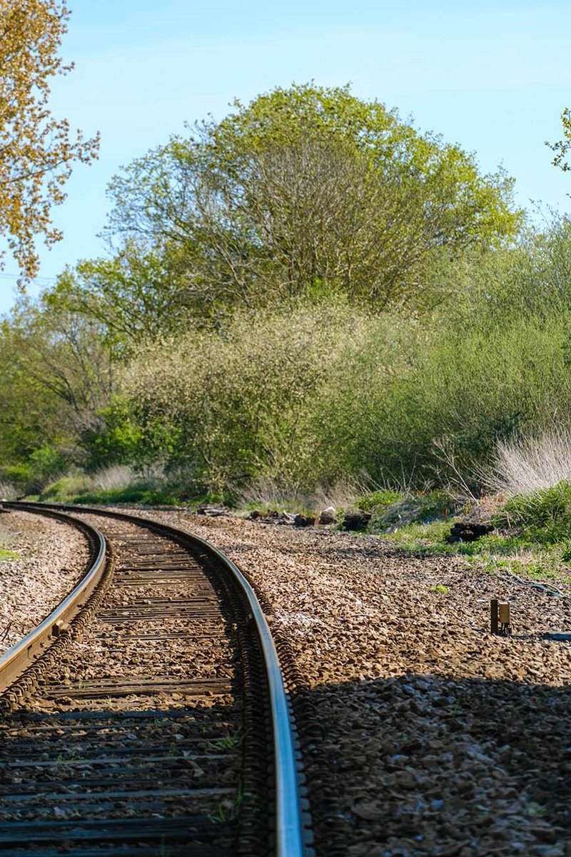 forward_change's tweet image. Train Track 
buff.ly/h3MZbgZ 
Curved railway track through lush summer greenery near Woodbridge, Suffolk, under a clear blue sky on a sunny day.
#railwaytrack #traintrack #Suffolk #England #UK #stockphotos