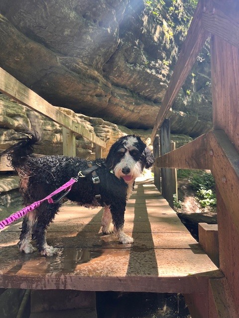 5pm on a Friday means one thing: grab your best buddy and hit the trails!  Weekend adventures are calling—where are you exploring first?"