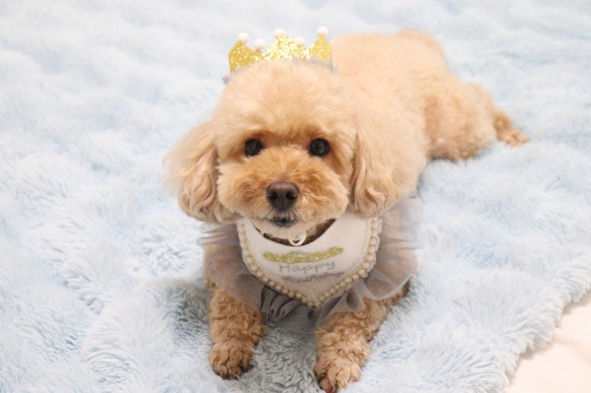 あまりにもばぶみが強い🧸🍼
６才のお誕生日おめでとう🩵🩵🩵