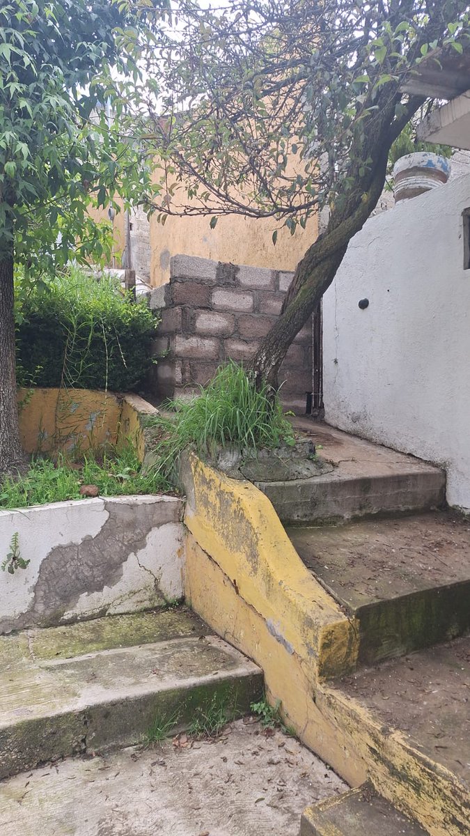 AmajikiHatake's tweet photo. ⚠️ IMPUNIDAD TOTAL ⚠️
En la colonia Ave Real, Álvaro Obregón, una construcción viola la ley sin consecuencias: invade la banqueta, ocupa el área verde y ha puesto en riesgo nuestra salud. Las autoridades lo saben y siguen sin actuar.
@ImagenTVMex @nmas @TVAztecaCDMX_
🧵abro hilo: https://t.co/FiGV8J90vj