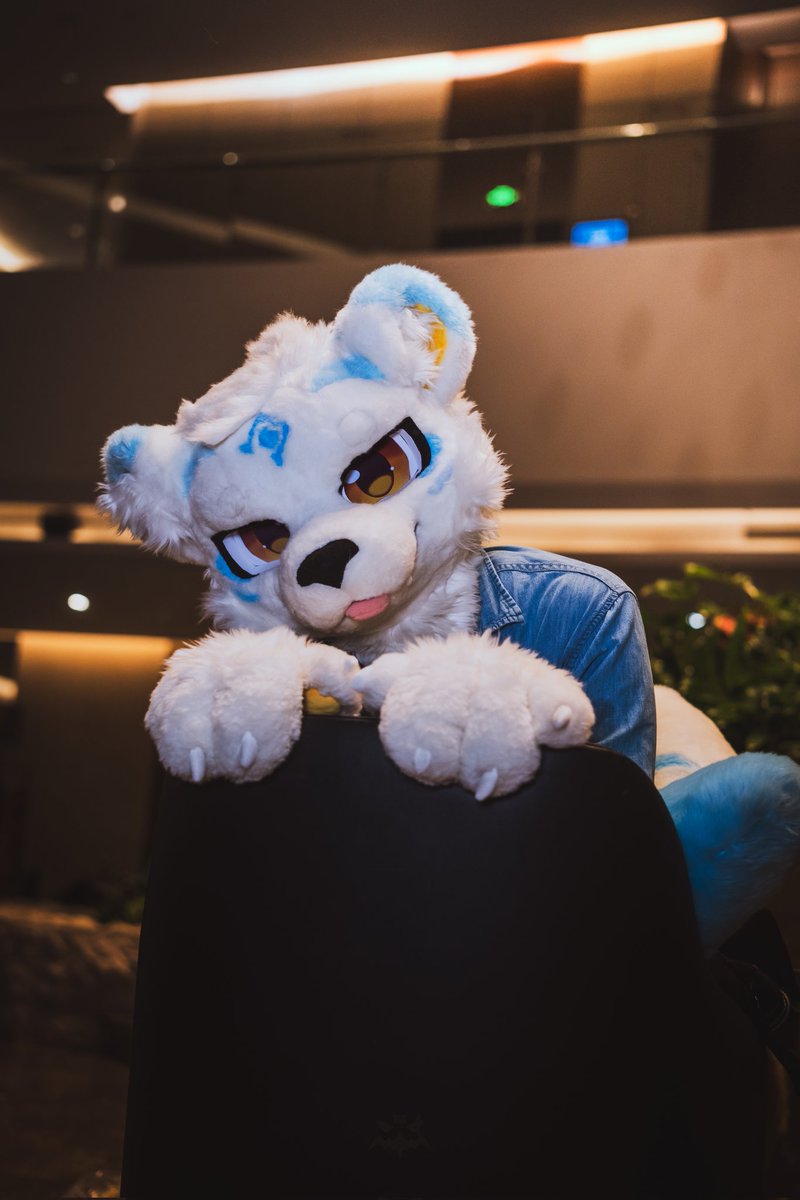 我，我会很乖的！求求你了答应我嘛！
📷：<a href="/xiaba_sonik/">虾叭</a>
#FursuitsFriday