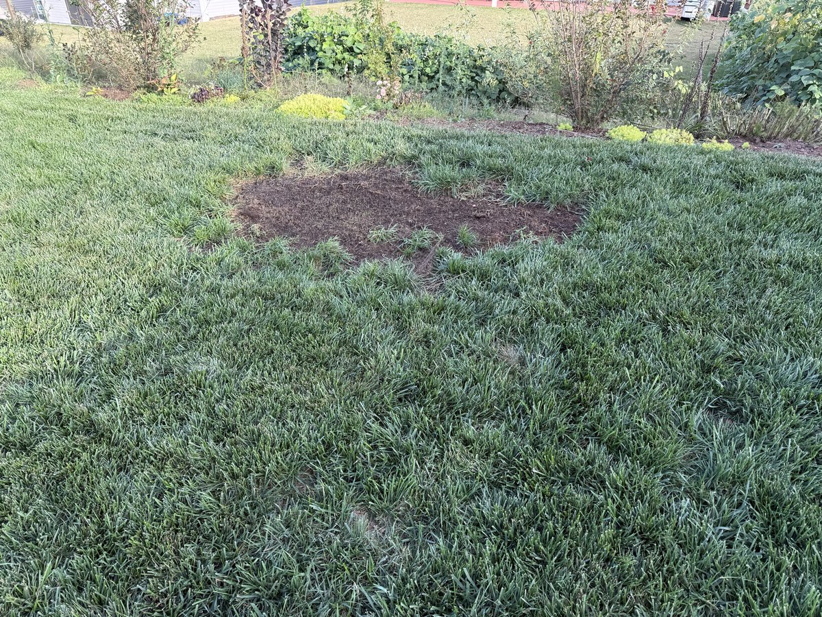 There is just something satisfying watching the seed pop.