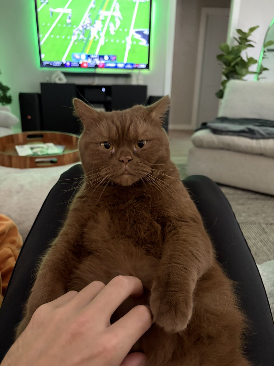 Hunter Sy tweet media