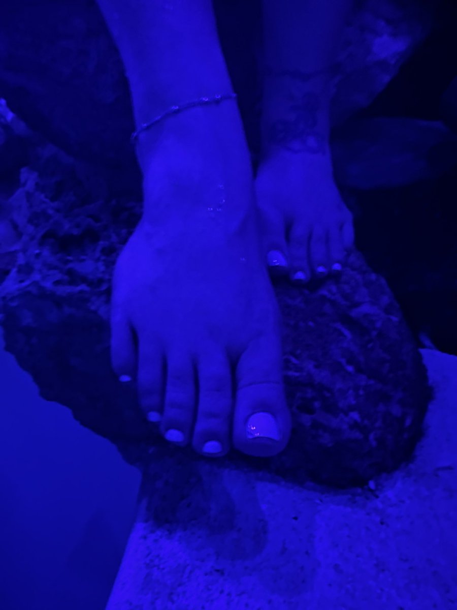 islandsoles82's tweet photo. Friday night vibes ๐ฆ Toes in the pool, feeling coolโฆ whoโs diving in with me? ๐๐ฃ #PoolsideToes #WeekendMood #FlirtyFeet #FridayNightFun #ToesInTheWater #FeetLovers #PediPerfection #FeetContent #FeetPicsDaily #FeetCommunity @FeetFinder https://t.co/PVFWlsr43X
