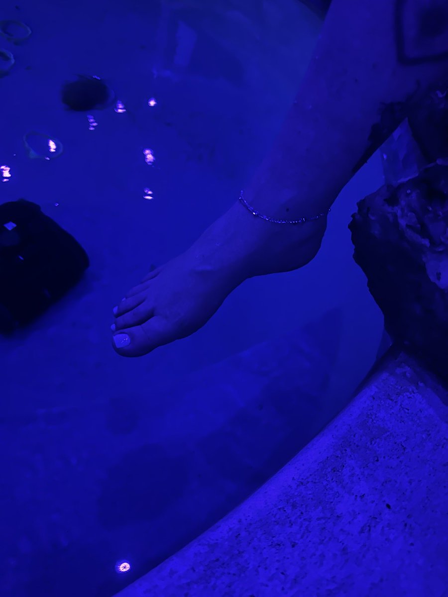 islandsoles82's tweet photo. Friday night vibes ๐ฆ Toes in the pool, feeling coolโฆ whoโs diving in with me? ๐๐ฃ #PoolsideToes #WeekendMood #FlirtyFeet #FridayNightFun #ToesInTheWater #FeetLovers #PediPerfection #FeetContent #FeetPicsDaily #FeetCommunity @FeetFinder https://t.co/PVFWlsr43X