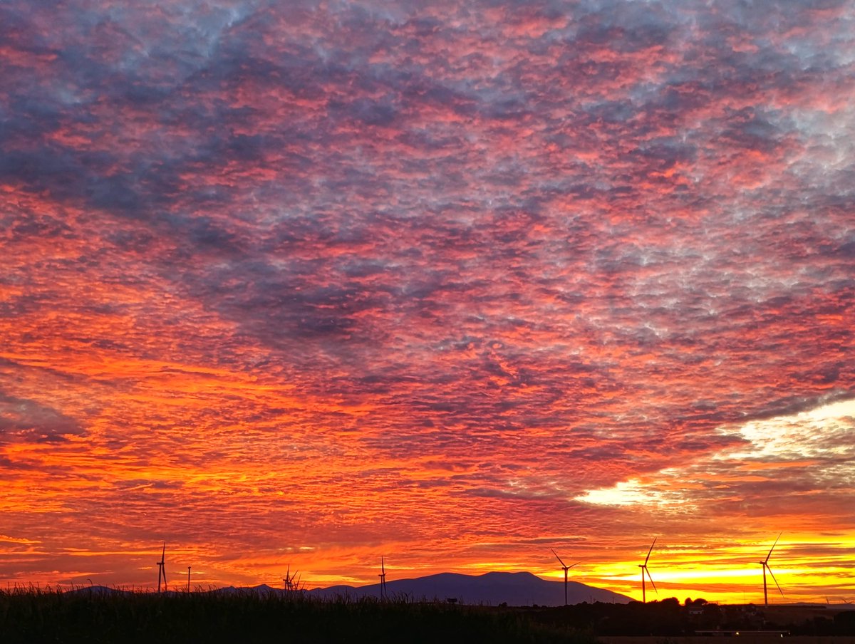 Espectacular #atardecer de hoy desde #Gallur con el moncayo al fondo