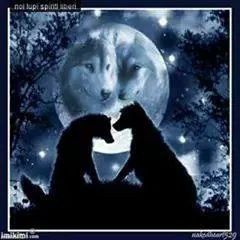 impossiblegu's tweet image. inside you there are two wolves