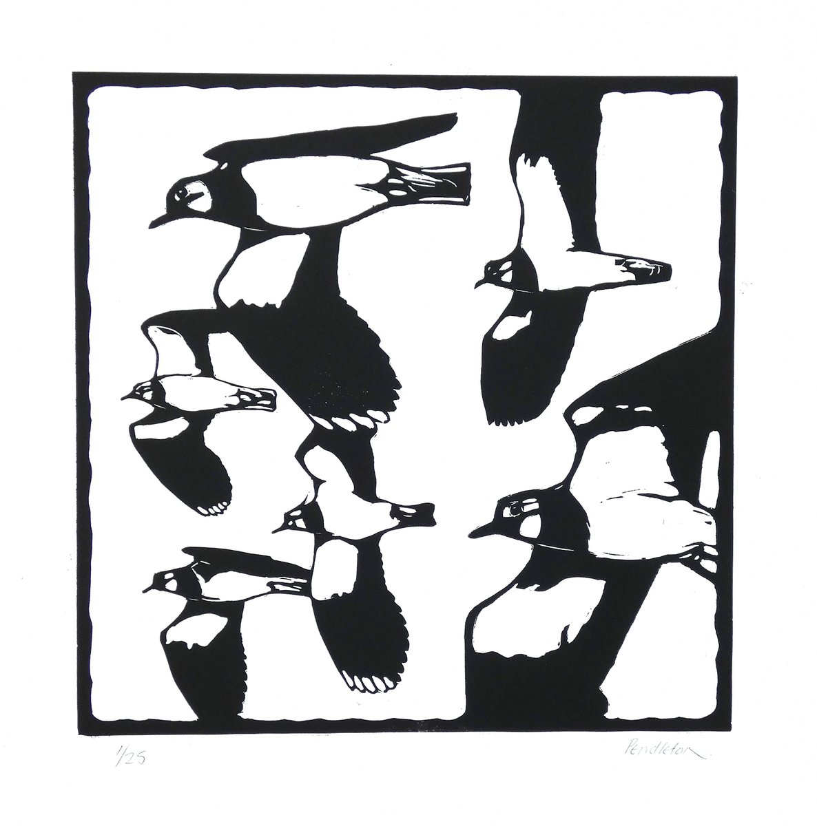 CWPendleton's tweet image. Really pleased my linocut 'Lapwing Flock' has been selected for the Society of Wildlife Arists' 'Natural Eye'  exhibition at the Mall Galleries, London. October 15th - 25th.  buyart.mallgalleries.org.uk/swla-2025/231-… #linocut #birdart #lapwings

pendleton.co.uk