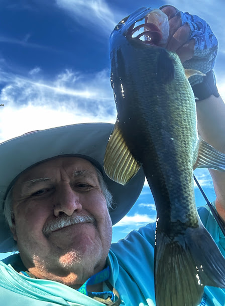 Bass Fishing Tips tweet media