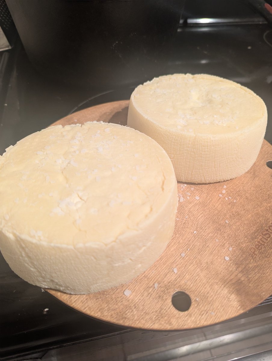 hello cheese man, look at my cheese