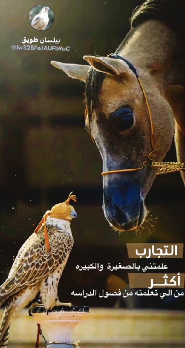 بيلسان طويق (@iw328fojaufbyuc) on Twitter photo 