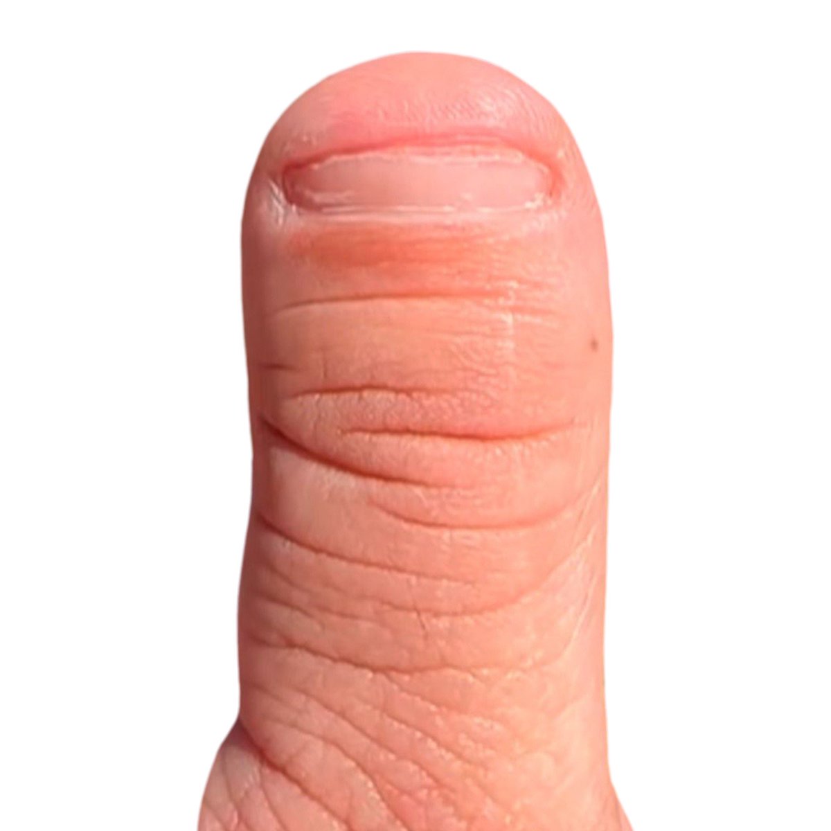 Xbagged's tweet photo. @jeremybtc This isn’t just any thumb. This is the most viral thumb on the internet. Hundreds of millions of views. Millions of likes.

A thumb so cursed it already lives rent free in your head.

Contract:

9daws6qb63qQ7CTmuBt6t2E1NqoHBJm3tZRAn6Y9pump

@Pumpthumb https://t.co/60LfBWjzNc