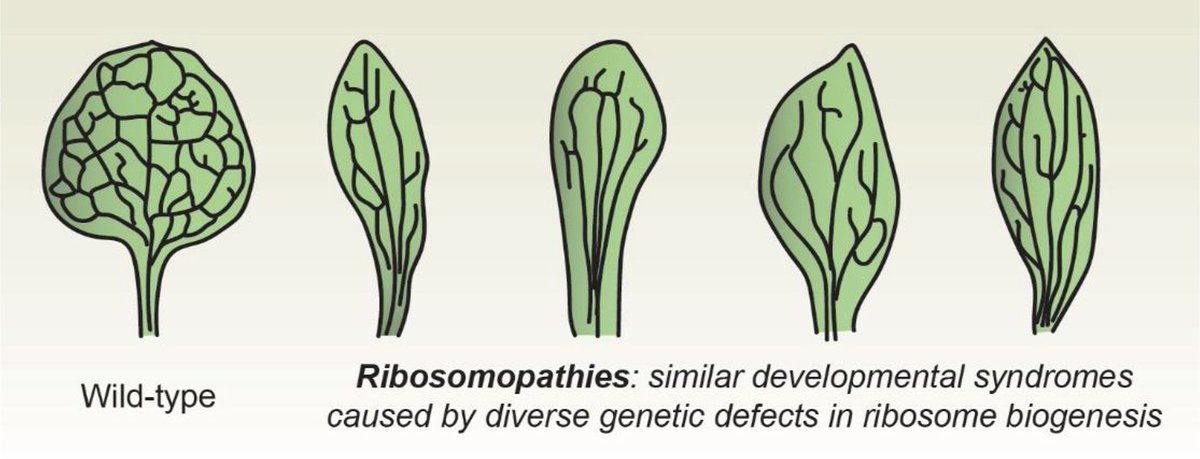 Brunkard Lab tweet media