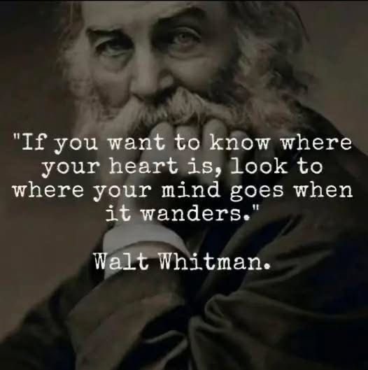 GN everyone. Have a good weekend. 

I’m going to sleep, perchance to dream, perchance to learn where my heart is.