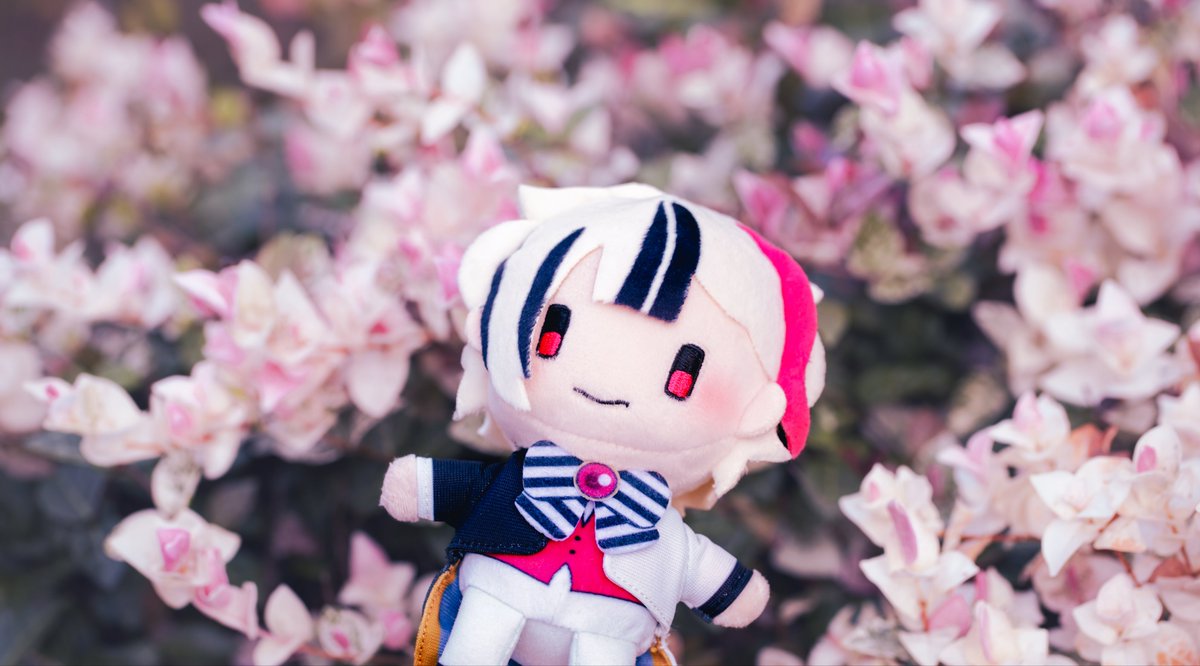 本日はくもりと雨のところが多いですね
美味しいご飯を食べてゆるっと過ごせますように

こちらはピンクのお花とベリアンさん