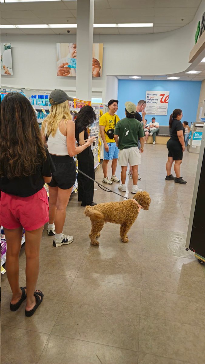 Joeynach's tweet photo. @Walgreens Will you ever enforce your pets policy or do I have to shop and pick up my prescriptions with the community's pets? https://t.co/dwXsqnL1SD