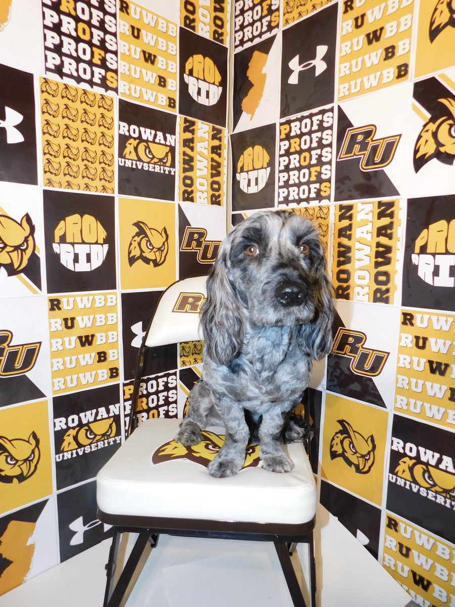 Torie Eggers tweet media