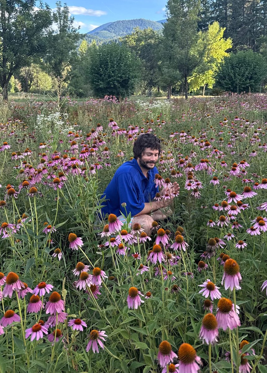 lottieloml's tweet photo. one thing about dylan o’brien is that he WILL be found frolicking in a flower field https://t.co/wykGGDvDm5