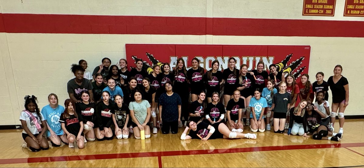 Chippewa Valley Volleyball tweet media