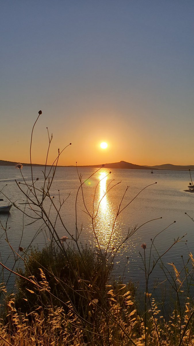 "Taze ekin, güneşli ekin kokusu başkadır. Günlerce adamın genzinde kalır. Nereye gidersen git, seni taze bir ekin kokusu yeşil yeşil kovalar."

Sarı Sıcak, Yaşar Kemal #YasarKemal
Picture: Cunda Island
