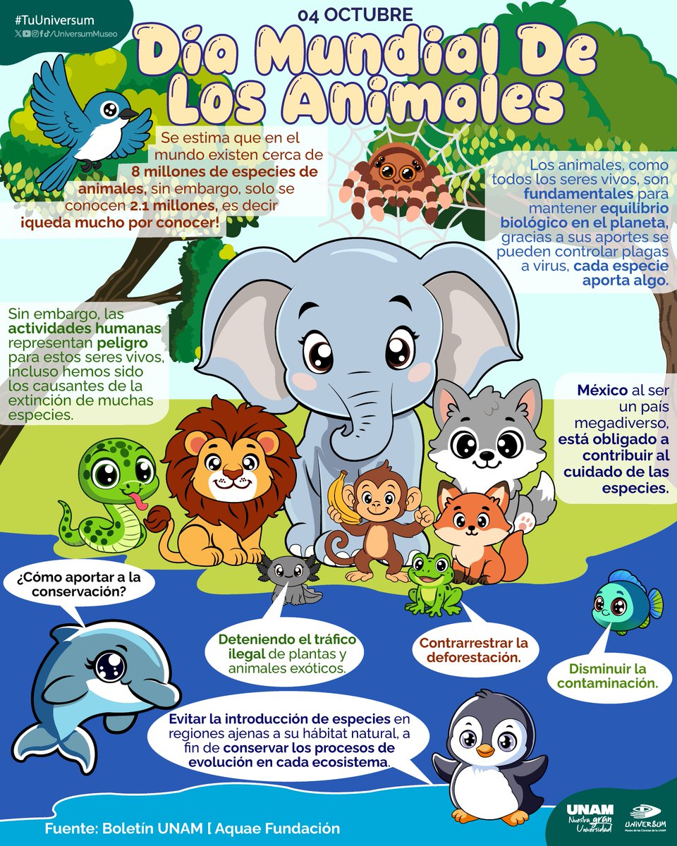 UniversumMuseo's tweet image. #UnDíaComoHoy es el Día Mundial de los Animales 😻
¡Cuéntanos cuál es tu animal favorito! 🐦🐙🐋🐘🦒🦌🐩🐓🦨🐇

#TuUniversum
