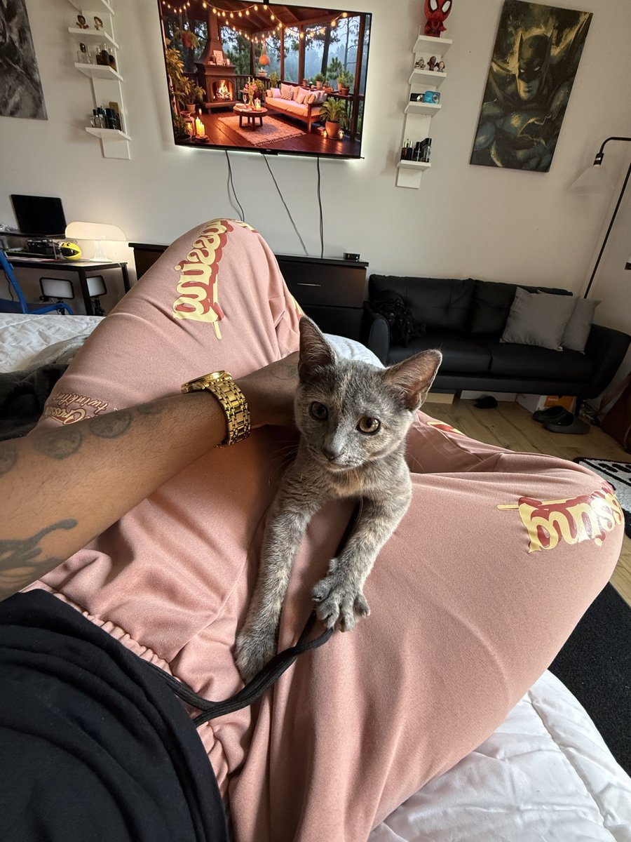 PAPiTAE 🦋 tweet media