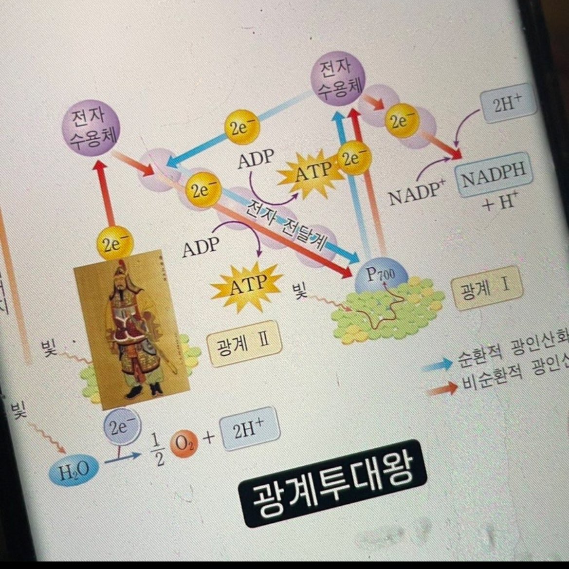 생2러들은 좀 미친게맞음
