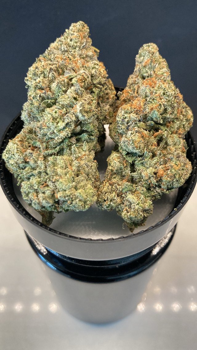 Bigtree247's tweet photo. The Original Biscotti by Connected 
This one needs no introduction 
One of my all time favorites for a reason. https://t.co/eO8jEBjXTX