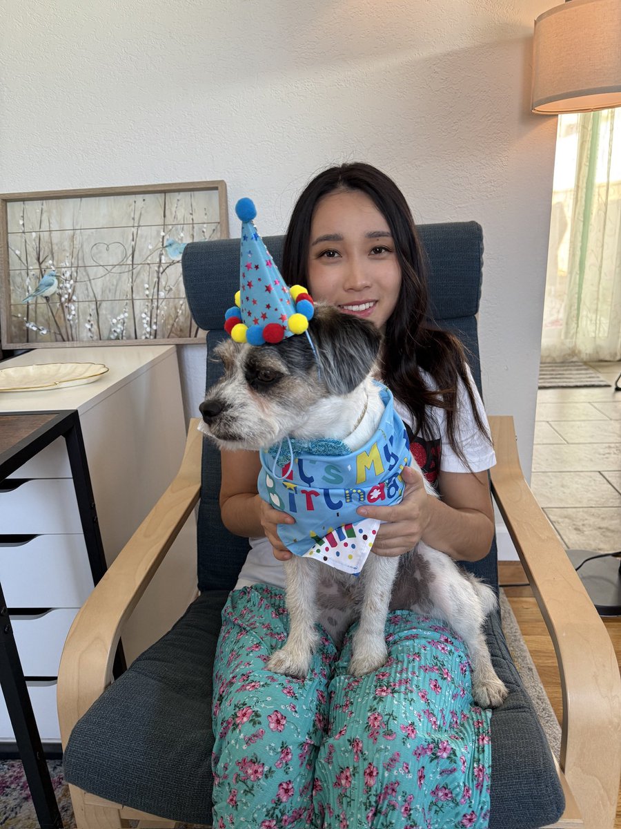 Bambi_OW's tweet photo. It’s my baby boy Teddy’s birthday 🥳 1 full year together. Wishing for many more with my adorable monster https://t.co/pgdx3XEAm6