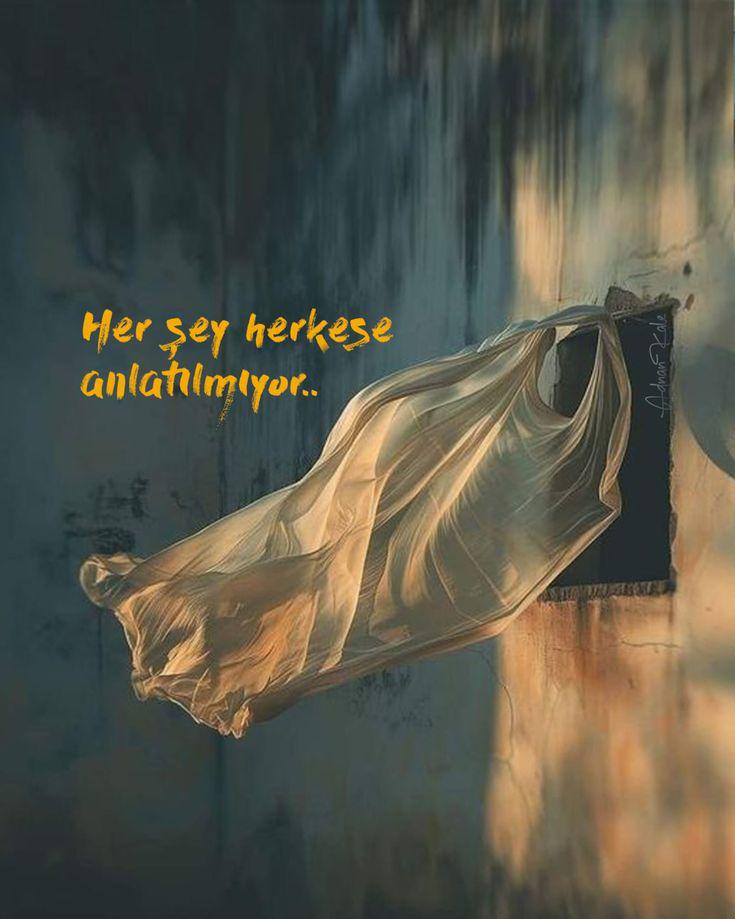 Kurda kuşa yem olmayalım da sahibimiz bıçağın da kurban olalım.
Ne gam!
Bırak yünü kirli , eti de de az çıktı desinler.

| Seyyah