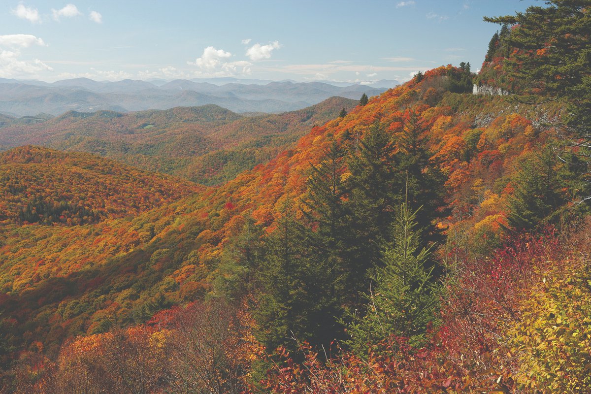 VisitBrysonCity's tweet photo. Catch the seasonโs fall color magic as it moves down the mountainsโthereโs nothing like autumn in the Smokies. ๐https://t.co/S9r23R2Eys๐
#BrysonCity #SmokyMountains #FallColors #BlueRidgeParkway #HelloFall https://t.co/GtMna0JV6z