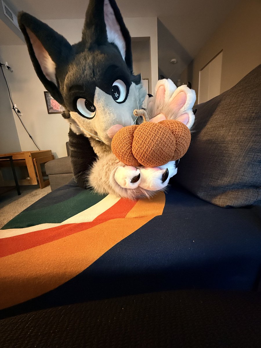 Bringing out the pumpkin decorations for fall this #FursuitFriday