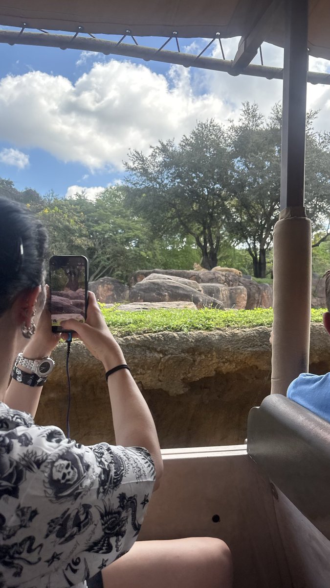 Michael58878261's tweet photo. On safari. Not really, but less difficult than actually going to Africa. https://t.co/Jtyw662mn7