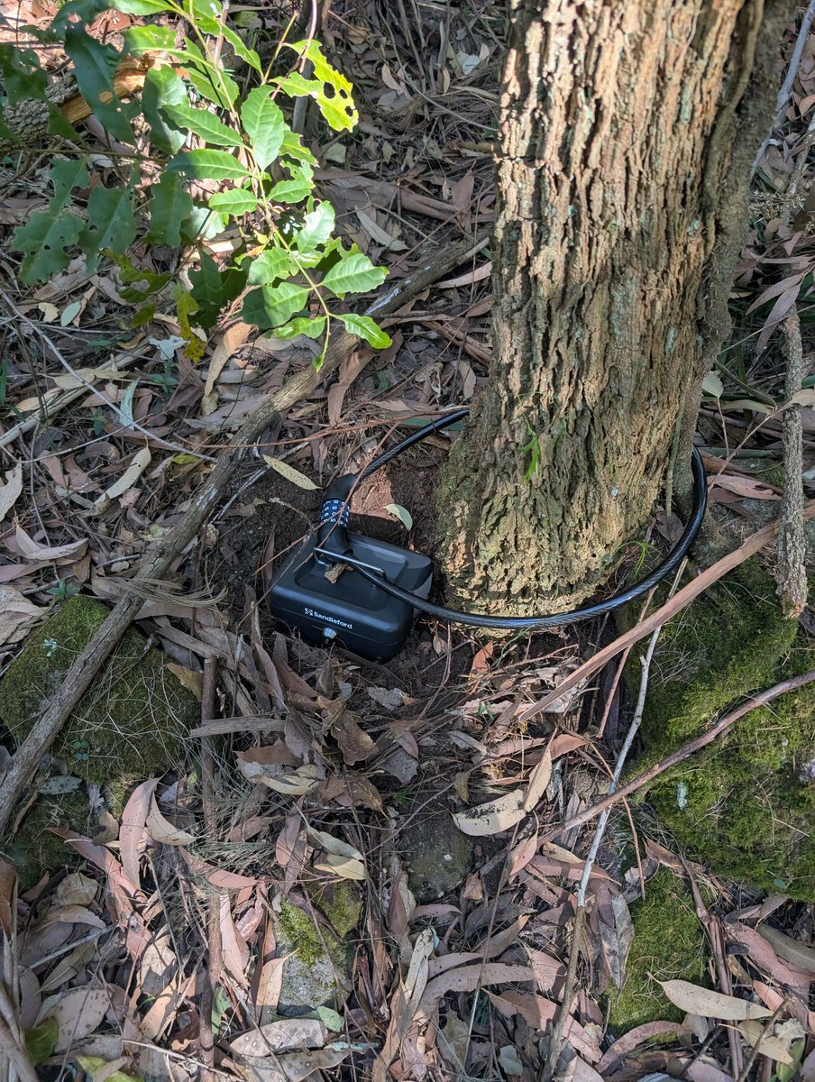 improba_locked's tweet photo. Keys for my cage, well put of reach for LOCKTOBER.  Goddess took me for a 2 hour hike, then surprised me by producing this lockbox from her bag, drop the key into it, and ordered me to hide it! 

#chastity #locktober #flr https://t.co/XVvkMkoTQE