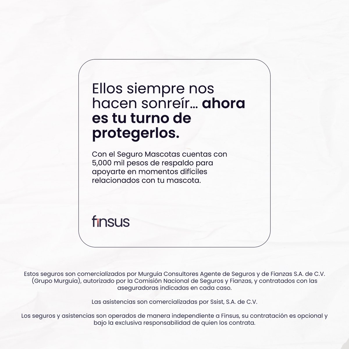 Las mascotas nos acompañan y hacen que lo cotidiano se convierta en recuerdos únicos. Cada juego y travesura son parte de nuestra historia juntos. 🐾 
El seguro mascotas está para ayudarte en momentos difíciles. 

#Finsus #FinanzasTransparentes