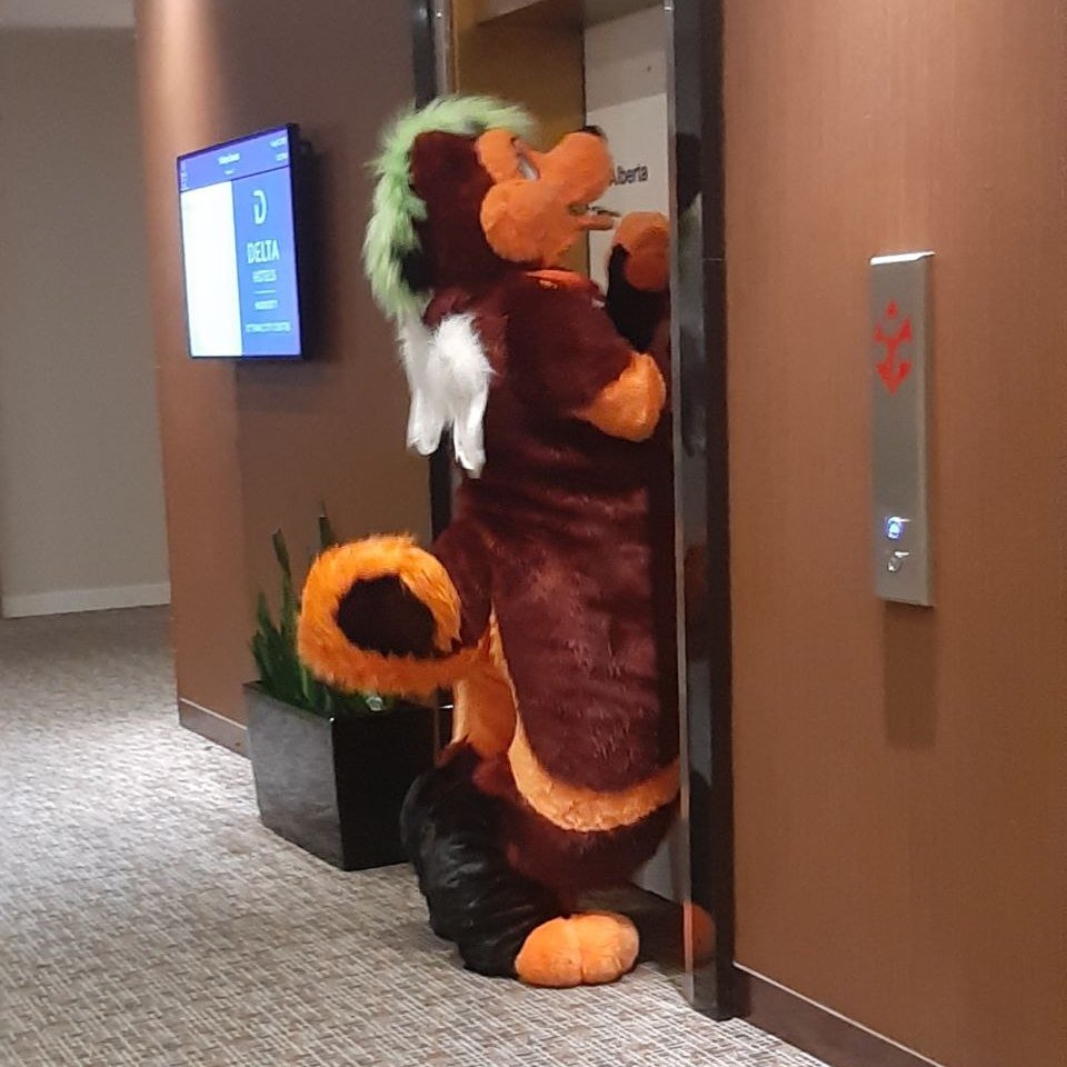 Can you open the door pwease 🥺. i wanna go ups

#FursuitFriday #FursuitEveryday