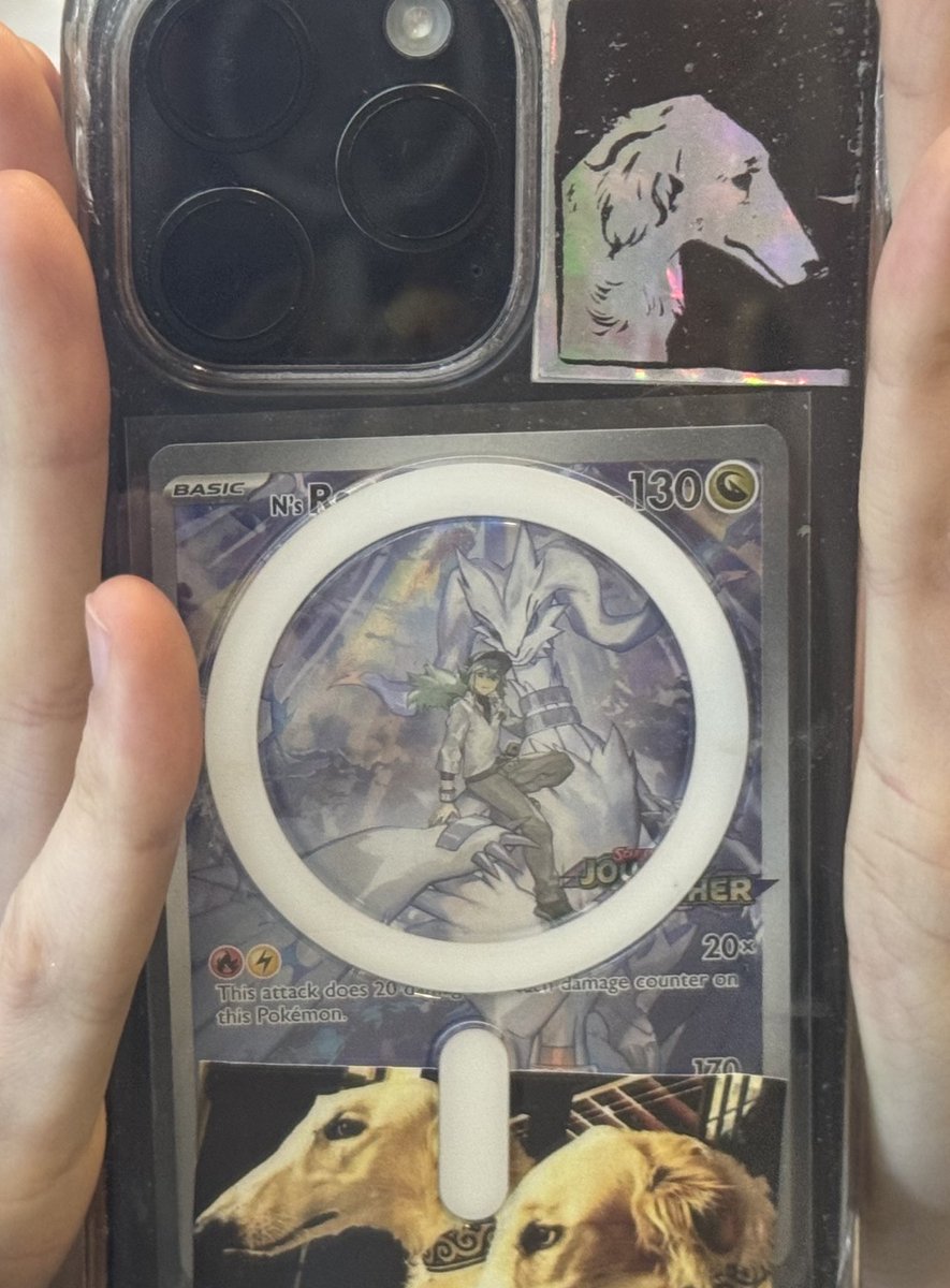 2hollis posting N and reshiram… THIS CARDspecifically😢this is very important for me ok