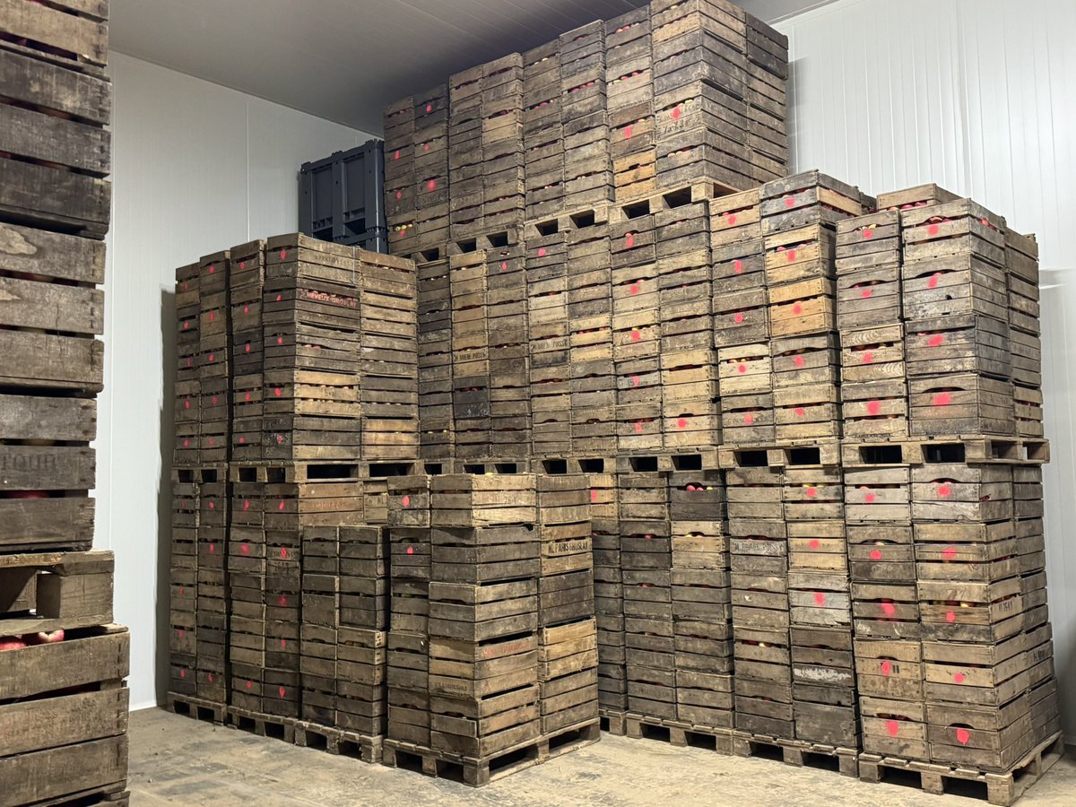 BotTrubuil tweet media