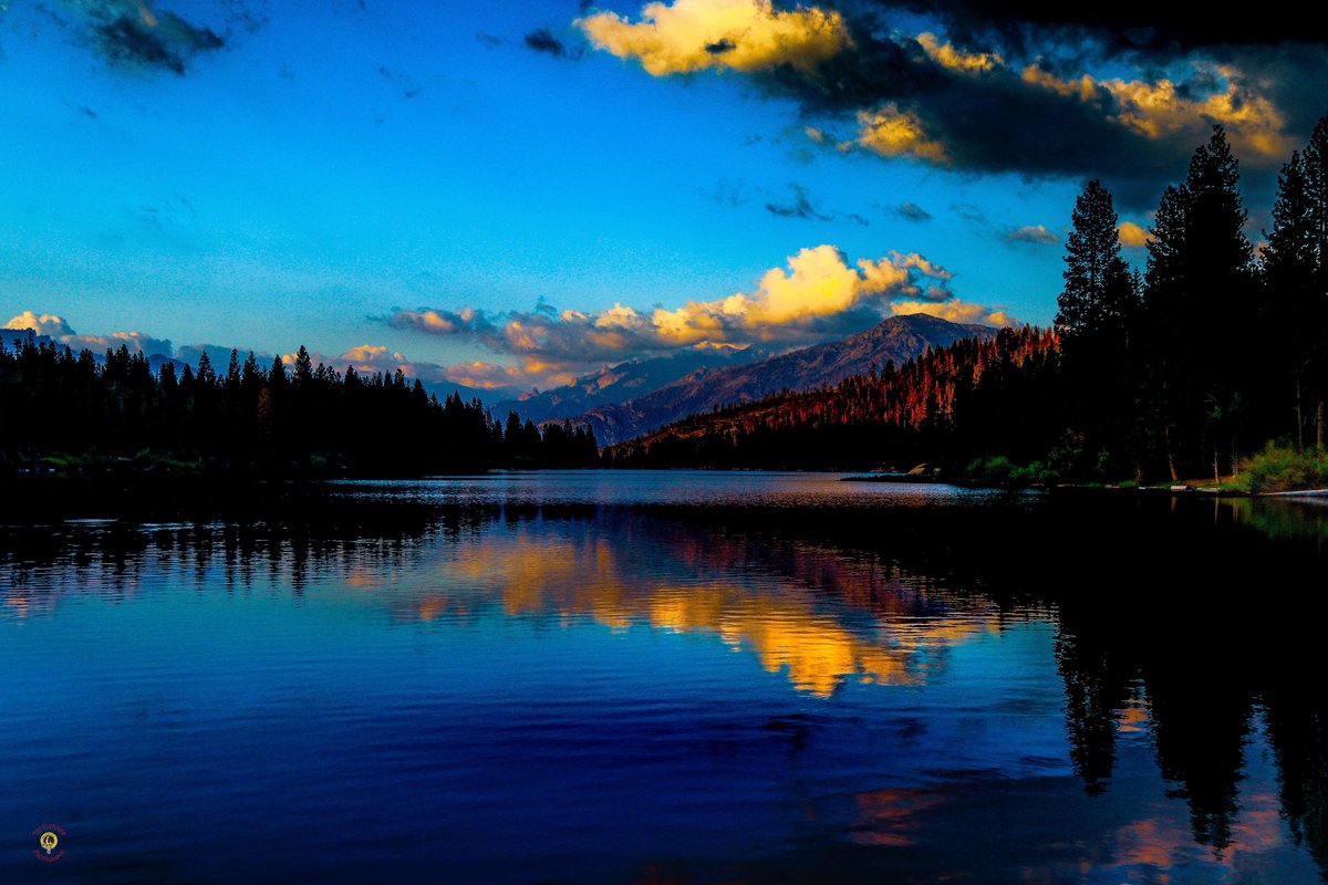 Ted Fletcher tweet media