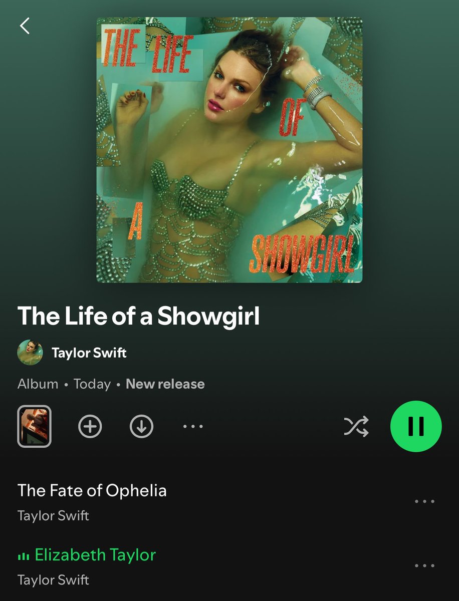 The Shamrock Cards Review:
☘️☘️☘️☘️☘️ - 5 shamrocks

Taylor Swift - The Life of a Showgirl 

After listening to the album about 10 times I have put the songs in order (1-12) that I like them in the first photo

What are your top songs from the album 👇