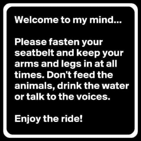 ✨𝓢𝓹𝓪𝓻𝓴𝓵𝓮✨𝓸𝓷✨𝓦𝓱𝓮𝓮𝓵𝓼✨ tweet media