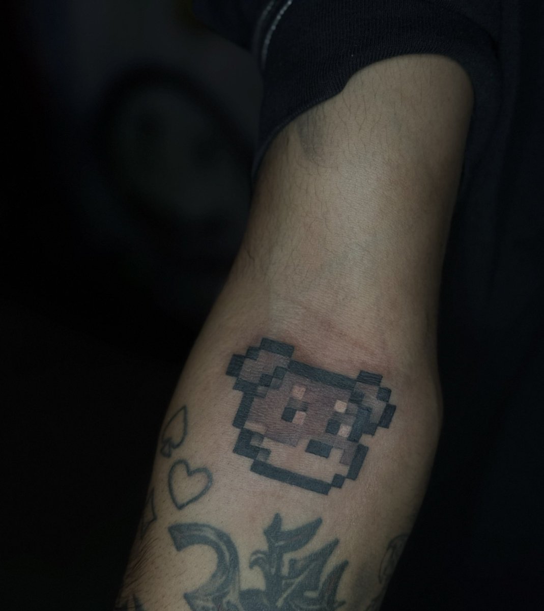 This is what real conviction looks like 🐶

(This is not AI)