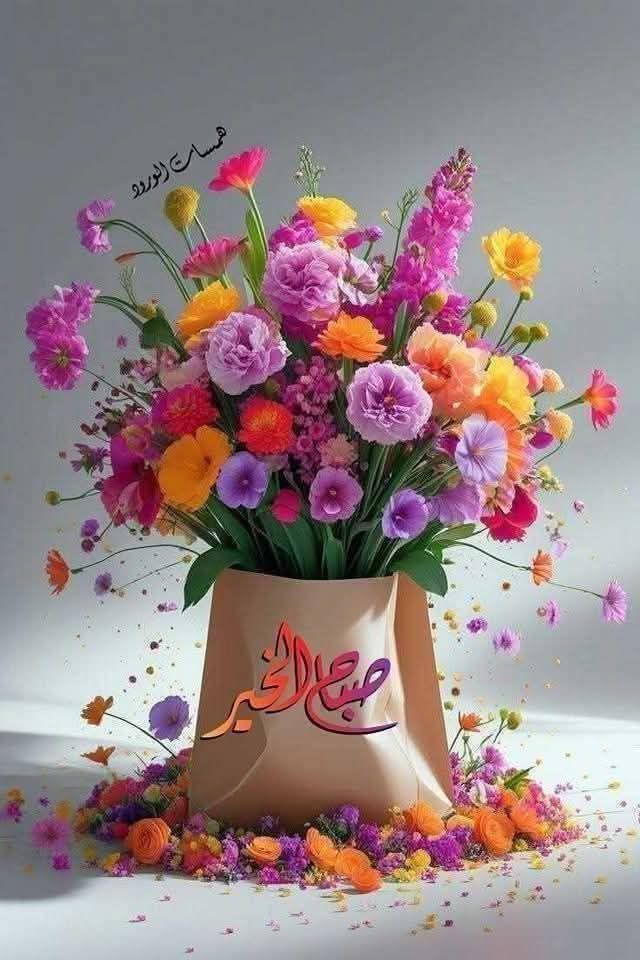 ༻-💙Naif💙-༺ tweet media