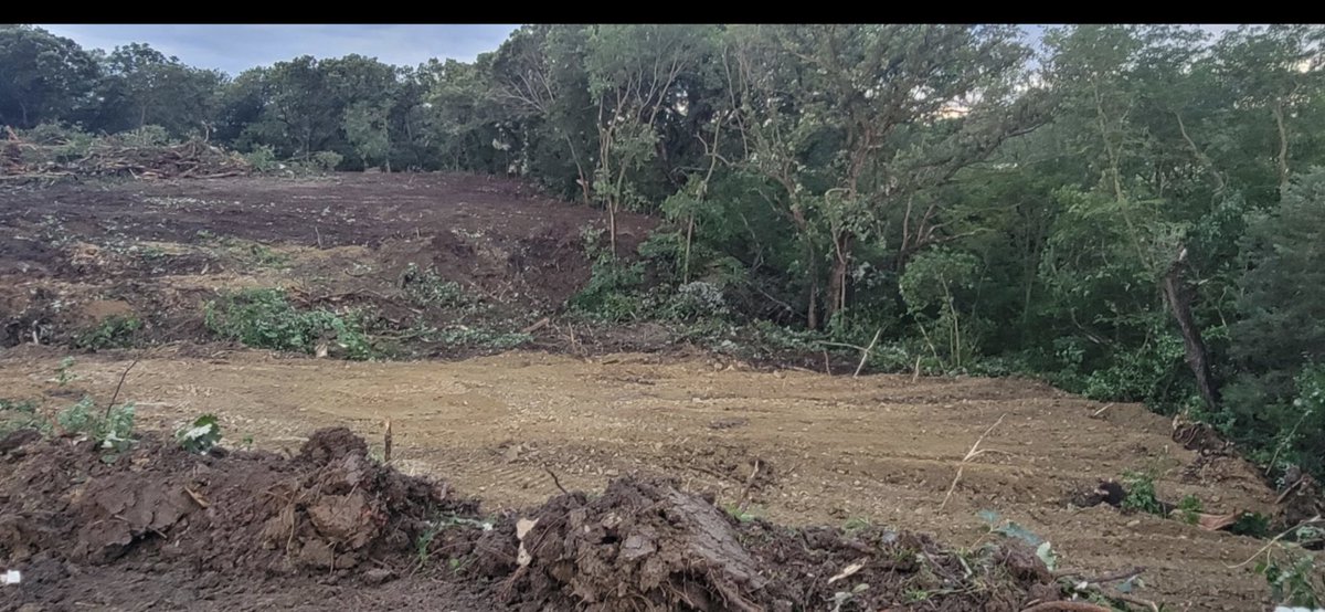 Pearson Golf Construction tweet media