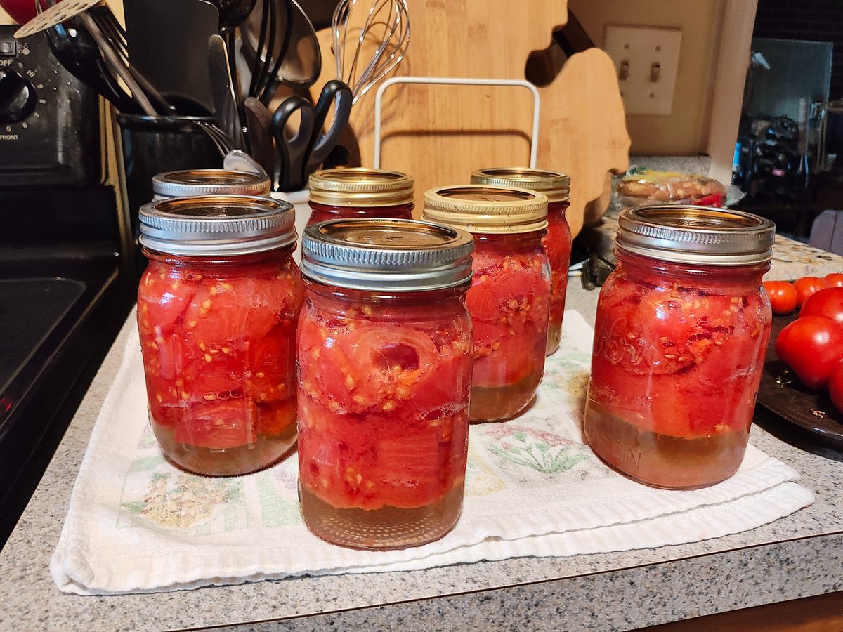 creativescribes's tweet image. Today I canned 7 pints of tomatoes harvested from our garden.