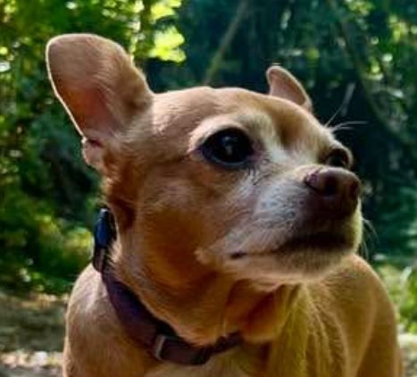 Sweets Johnson (@bootsperkins) on Twitter photo 